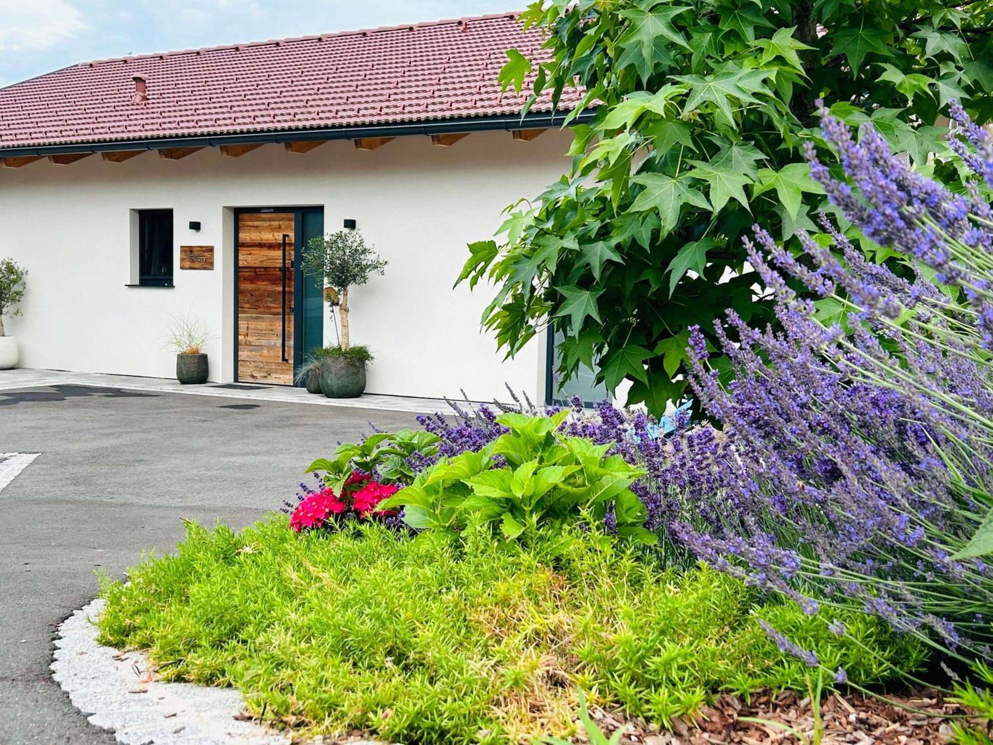 Traumhaus In Den Weinbergen - Max 8 Personen - Mit Self-Check-In Villa Sankt Stefan ob Stainz Eksteriør billede
